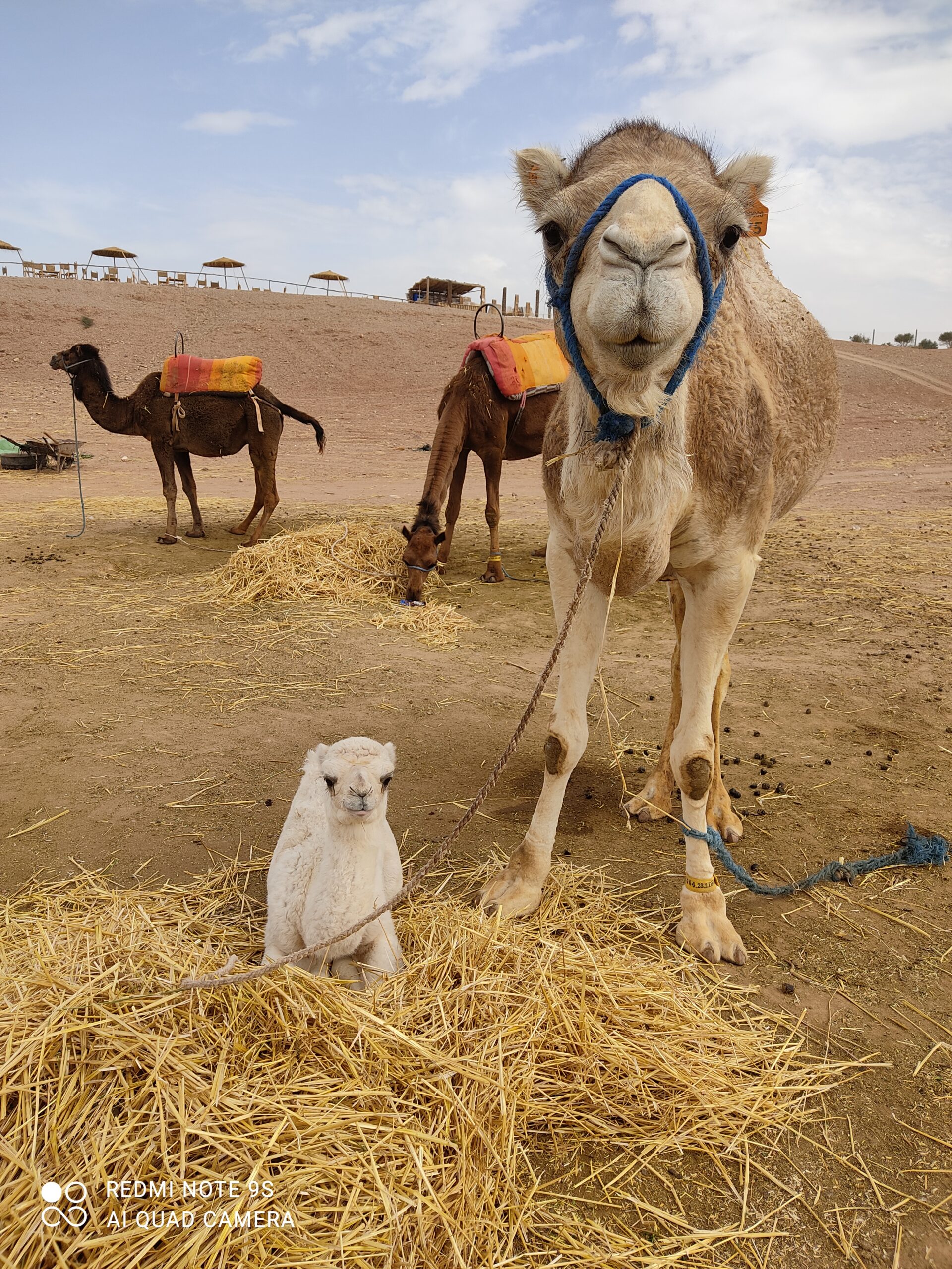 Services IMG 4761 Scaled