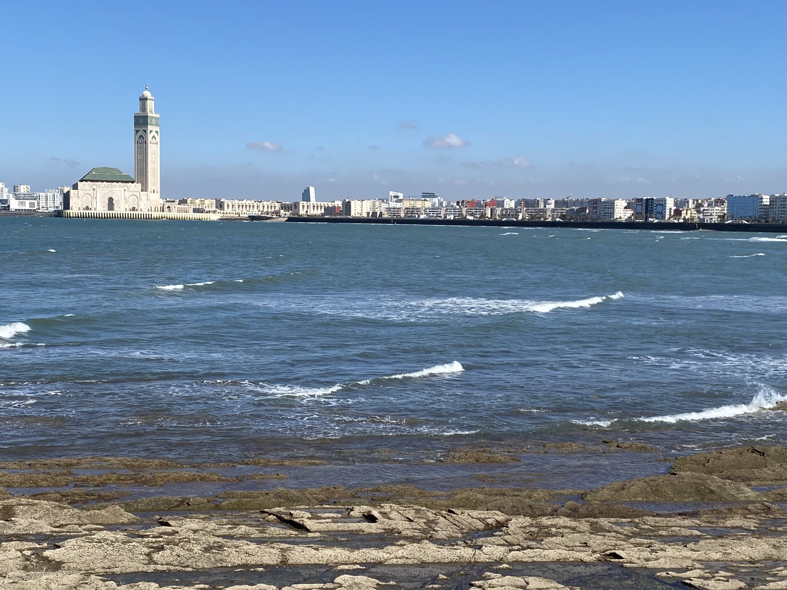 Services IMG 4788 Scaled