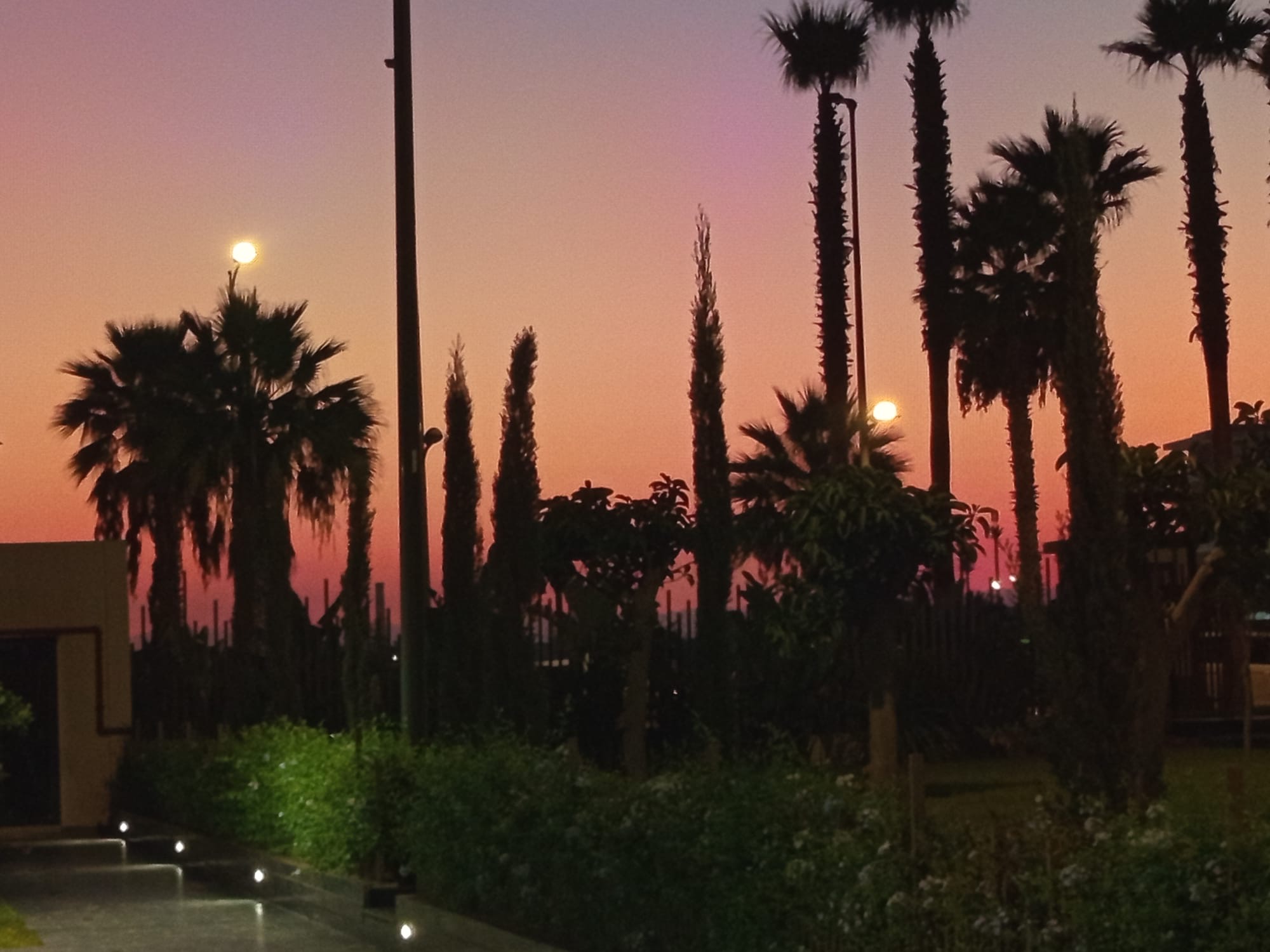 Fe09c149 7b40 4e93 A5ac 085f2f4b17ab